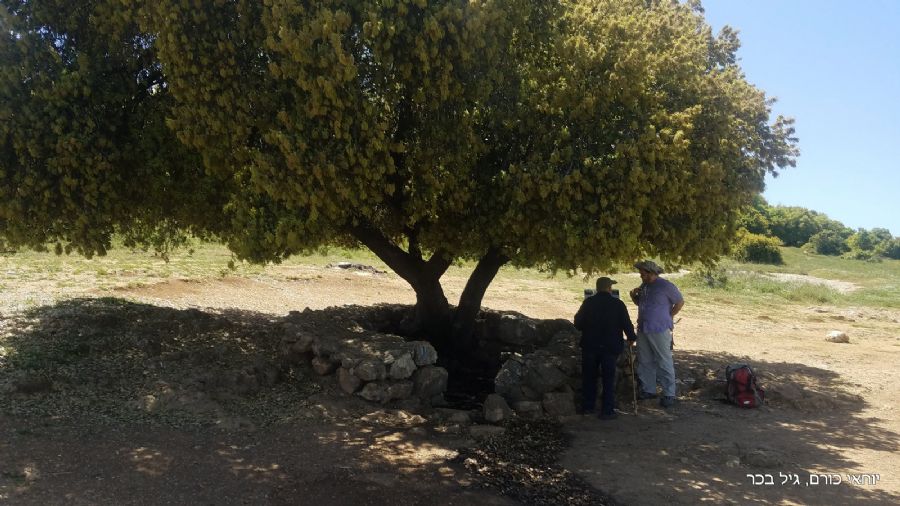 עין זבד
